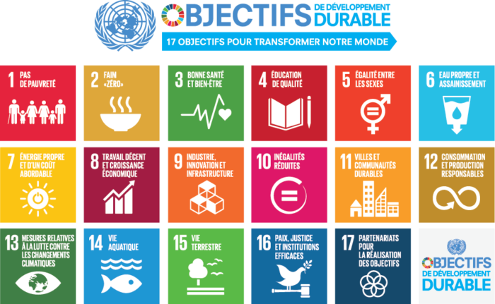 17 objectifs de développement durable proposés par l’ONU en 2017 (les « ODD » comme on dit)