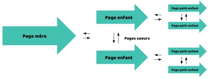 Structure d'un cocon sémantique